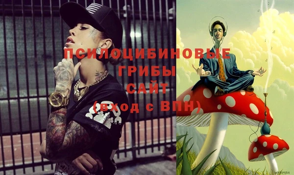 бошки Кодинск