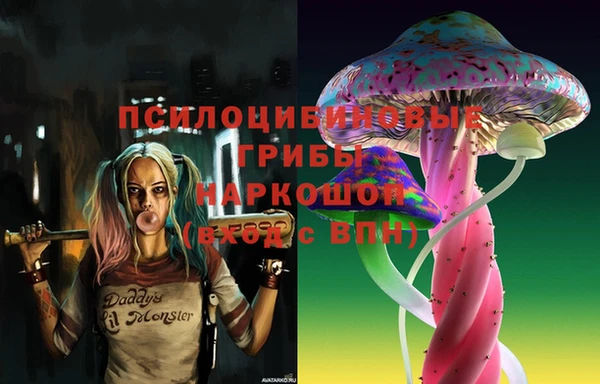 бошки Кодинск