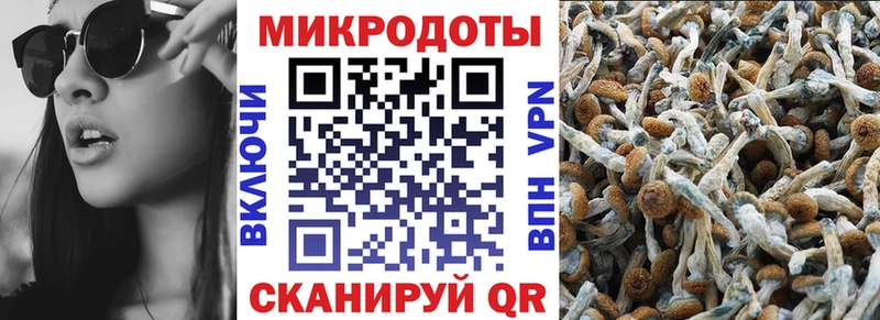 Купить закладки Баксан Псилоцибиновые грибы мицелий
