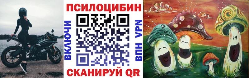 Галлюциногенные грибы Psilocybe Баксан
